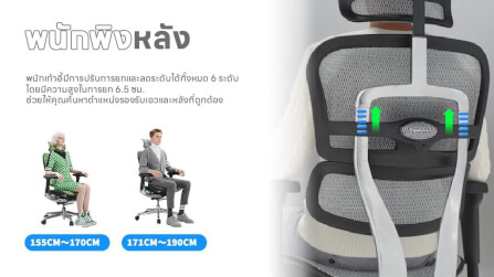 เก้าอี้เพื่อสุขภาพ DF PROCHAIR รุ่น Ergo Elite Ultra Plus สีเทา_9